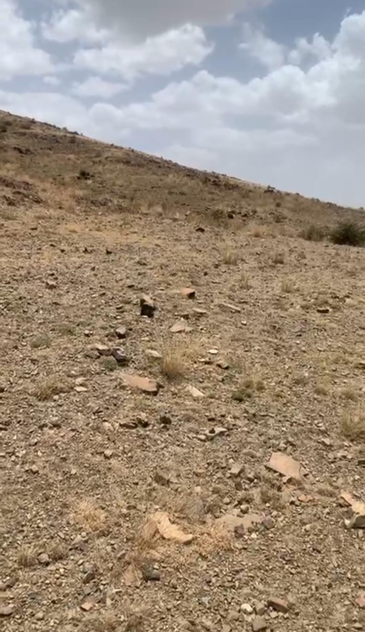 ارض للبيع في الباحة حي الخزامى